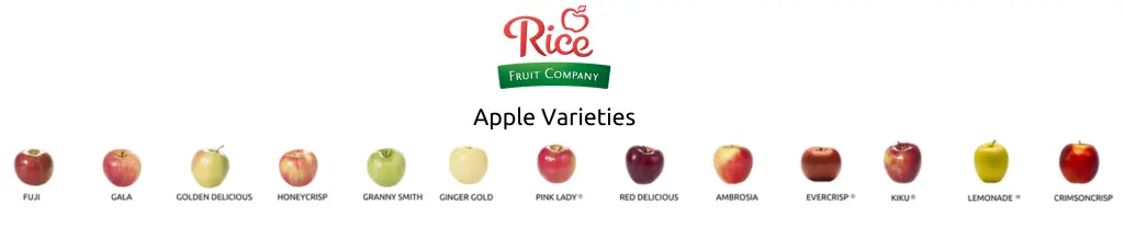 Rice Fruit Apple Varieties