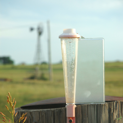 Rain Gauge