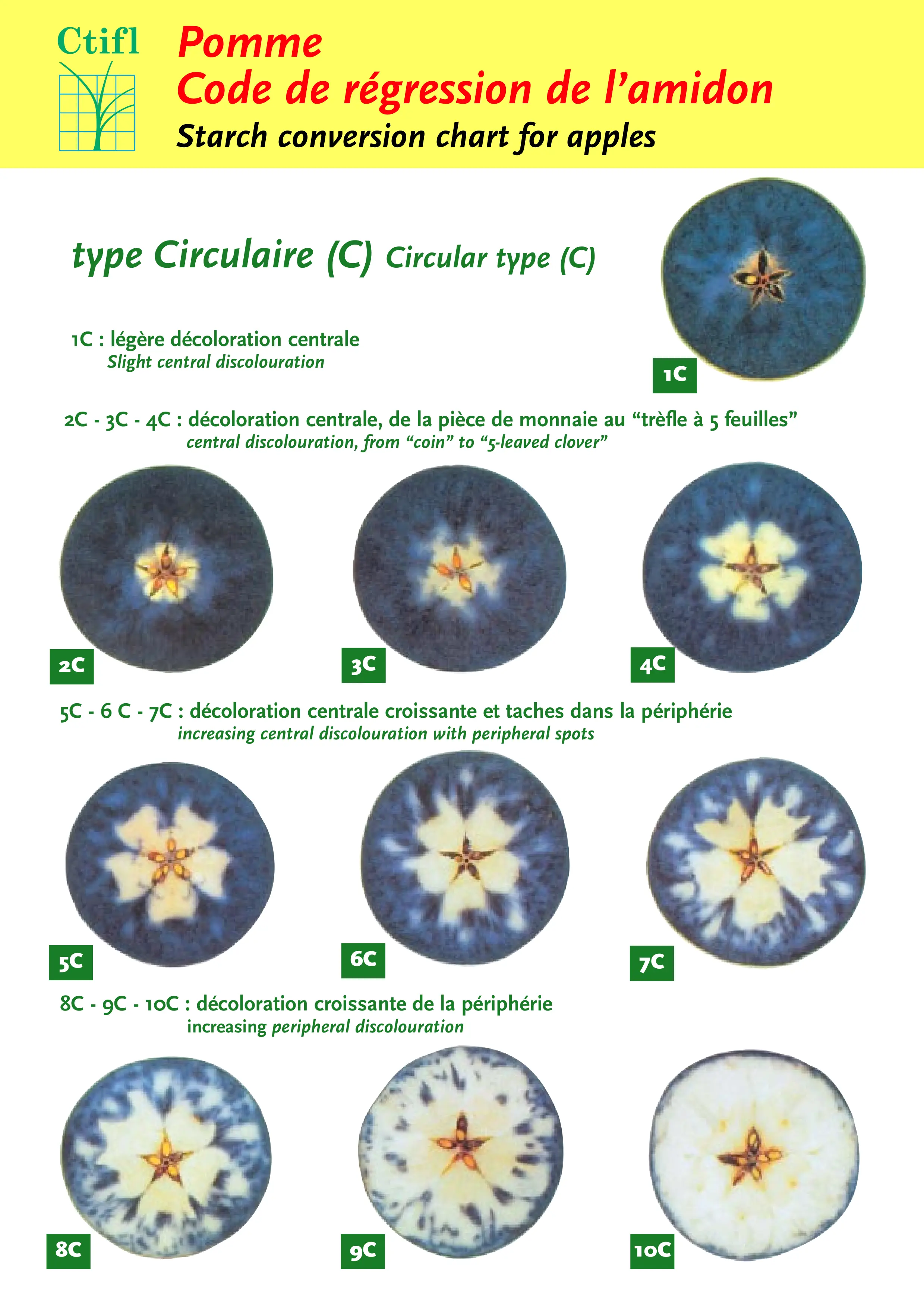 Starch conversion chart for apples. Pomme Code de regression de l'amidon