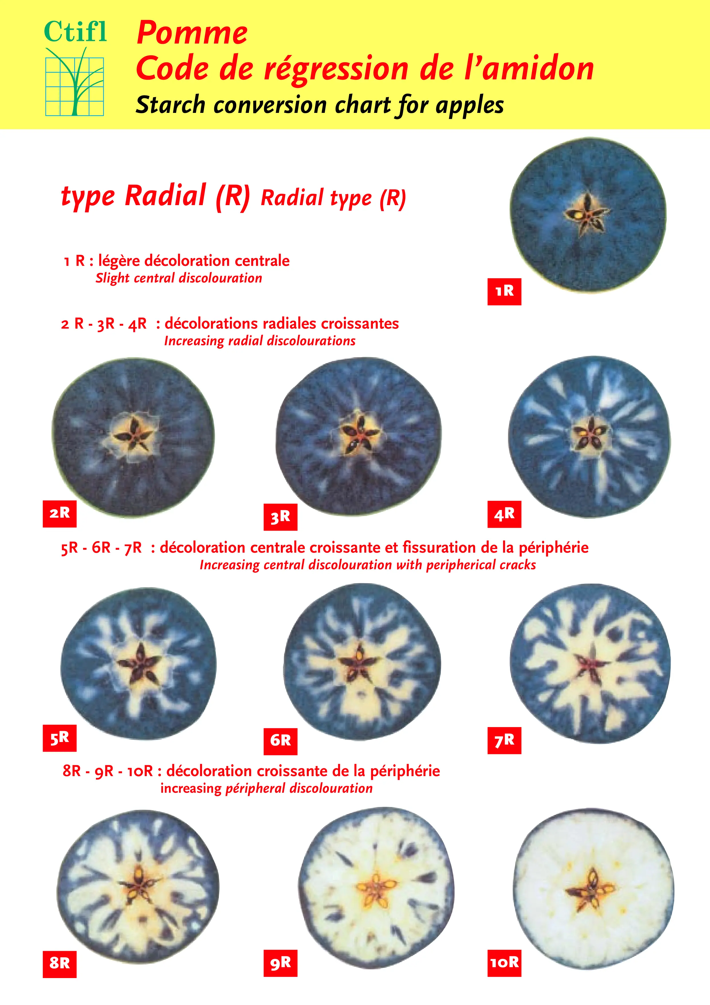 Starch conversion chart for apples. Pomme Code de regression de l'amidon