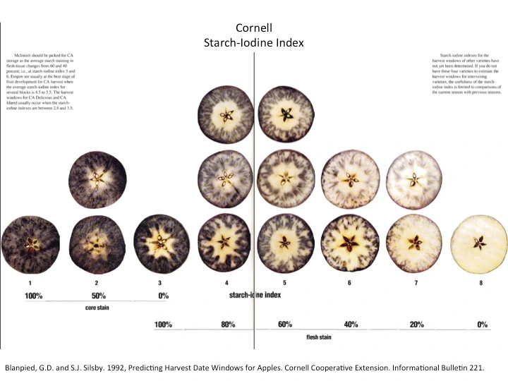 Cornell Starch Iodine Index