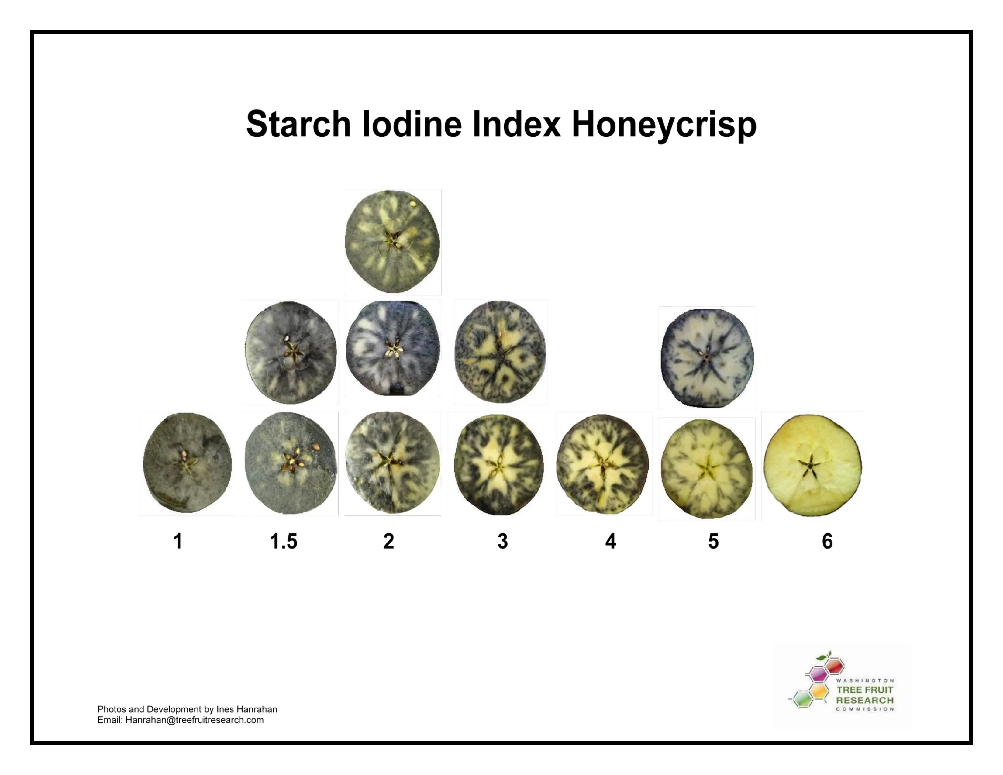 Starch Iodine Index - Honeycrisp Starch Scale Color