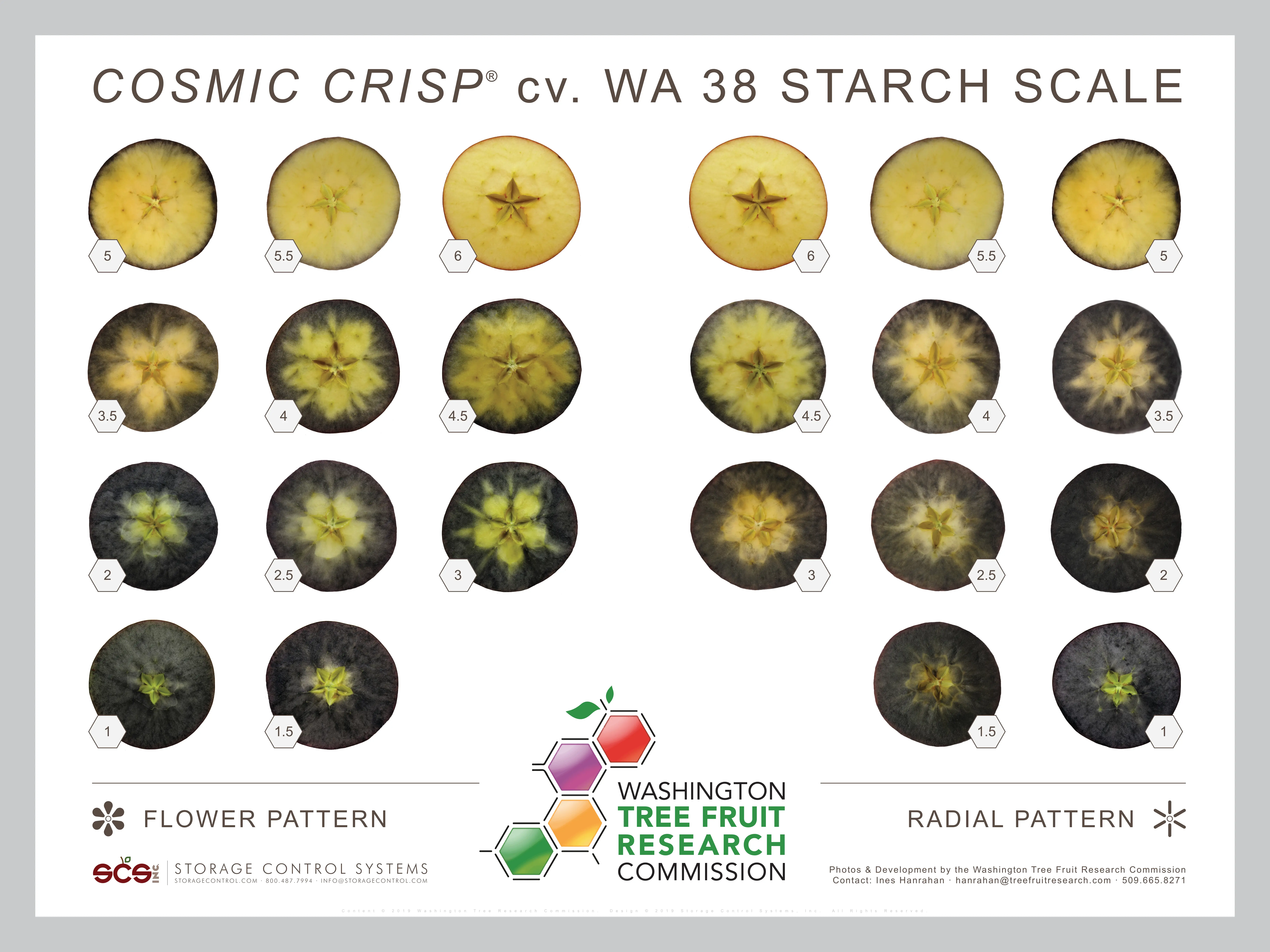 Starch Scale WA38/Cosmic Crisp