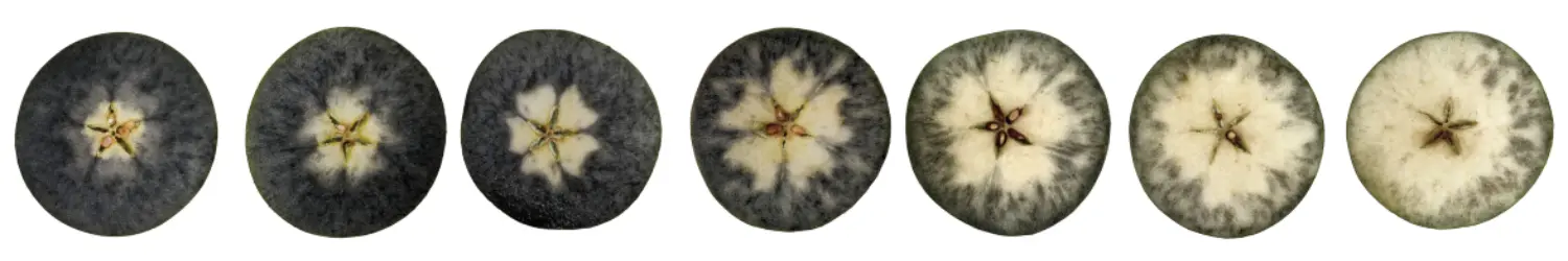 Starch Iodine Index Example