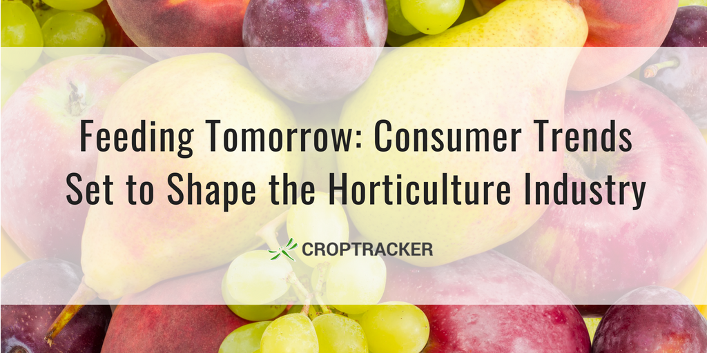 Feeding Tomorrow: Consumer Trends Set to Shape the Horticulture Industry