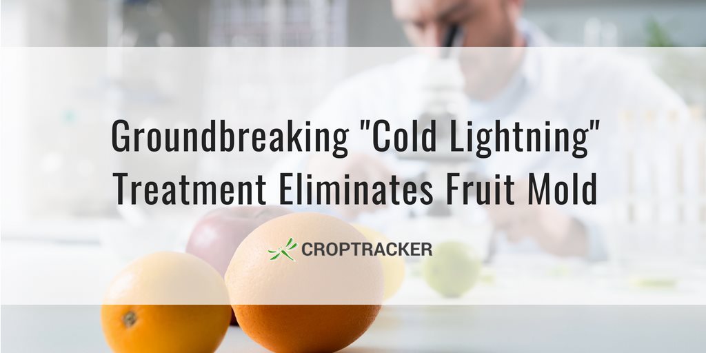 Groundbreaking Cold Lightning Treatment Eliminates Fruit Mold